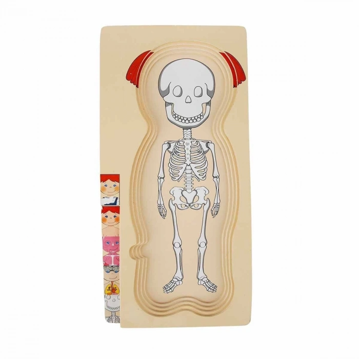 ÇOK SATAN 2917 SUN-Tahta Puzzle İnsan Vücudu