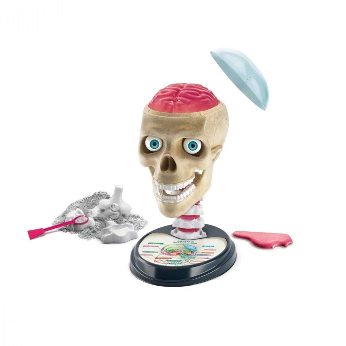 ÇOK SATAN 64322 Çılgın Anatomi - Bilim ve Oyun / +7 yaş