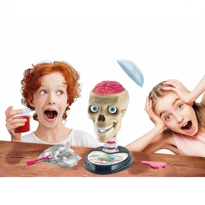 ÇOK SATAN 64322 Çılgın Anatomi - Bilim ve Oyun / +7 yaş