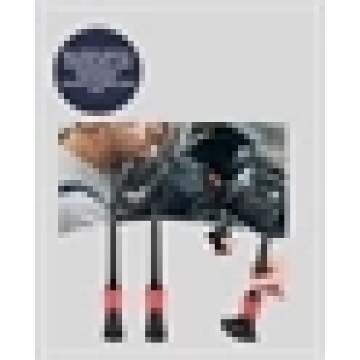 ÇOK SATAN Araba Temizliği İçin 5 Parça Fırça Takımı