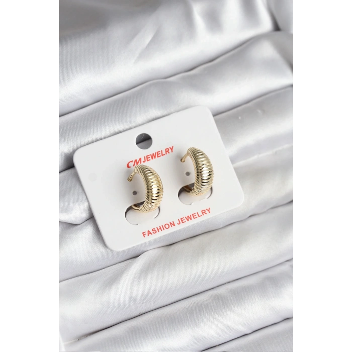 BFS 14K Gold Renk Kaplama CM Kadın Küpe