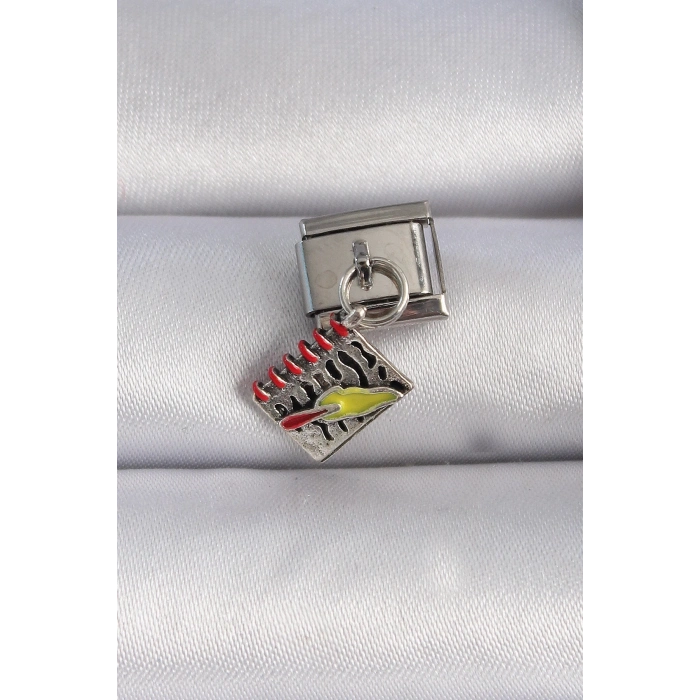 BFS 316L Çelik Gümüş Renk Sallantı Defter Figür Nomination Charm