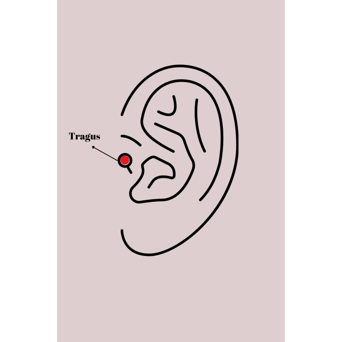 BFS 316L Çelik Gümüş Renk Zirkon Taşlı Tragus Piercing