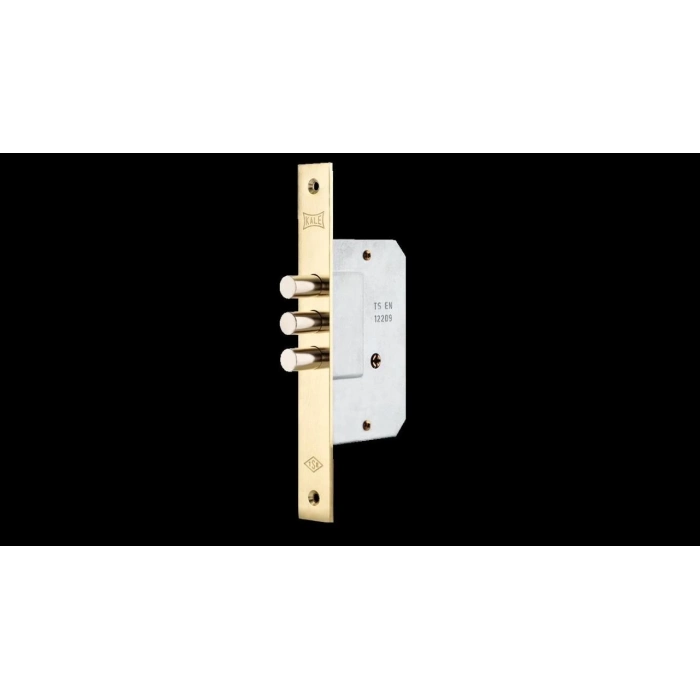 ÇOK SATAN BFS Kale 189 3MF 45 mm Prazis Kilit