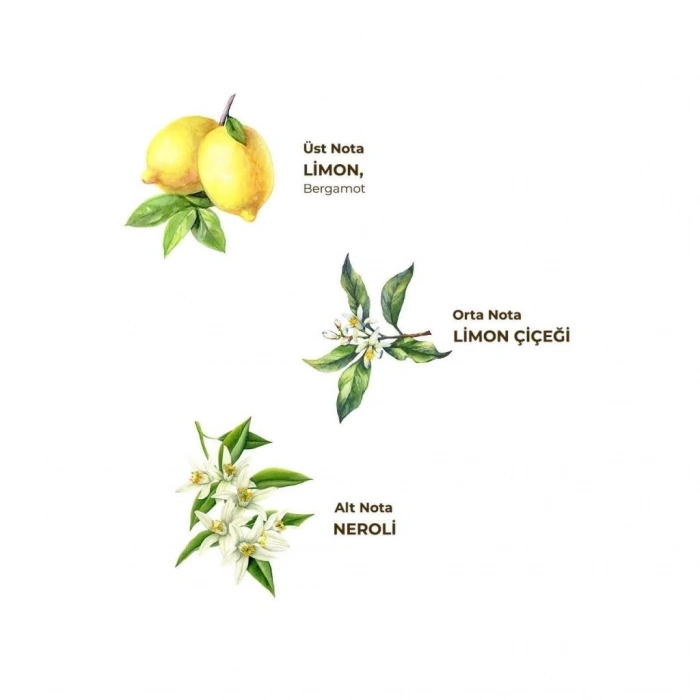 BFS    Kolonya Pet Şişe Sprey 150 ml Limon