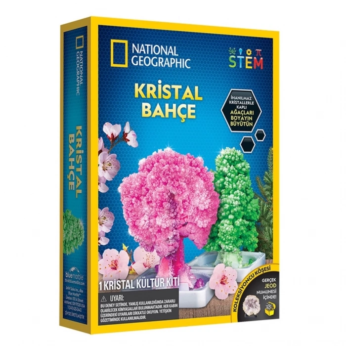 BFS   Natgeo Kristal Bitki Kiti