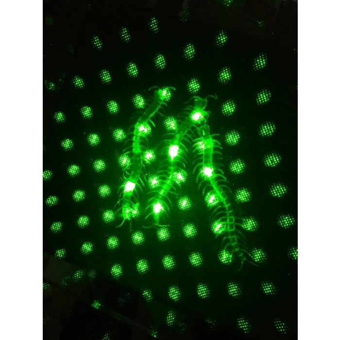 BFS Nessiworld  Şaka Yılan ve Kırkayak Karışık 36 Adet