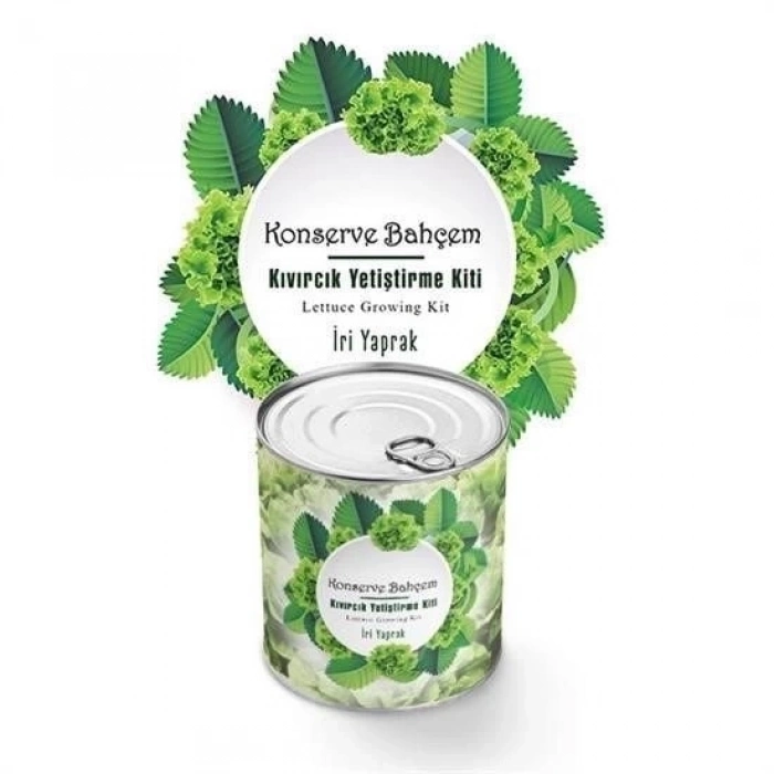 ÇOK SATAN Konserve Bahçem Evde Konservede İri Yapraklı Kıvırcık Yetiştirme Kiti