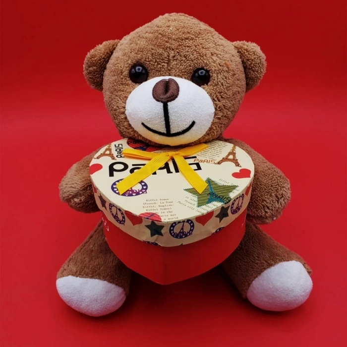 ÇOK SATAN Kutulu Ayıcık