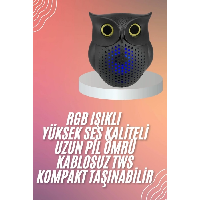 ÇOK SATAN Müzik Çalar Bluetooth Hoparlör Speaker 5.0 Kablosuz Baykuş Görünümlü