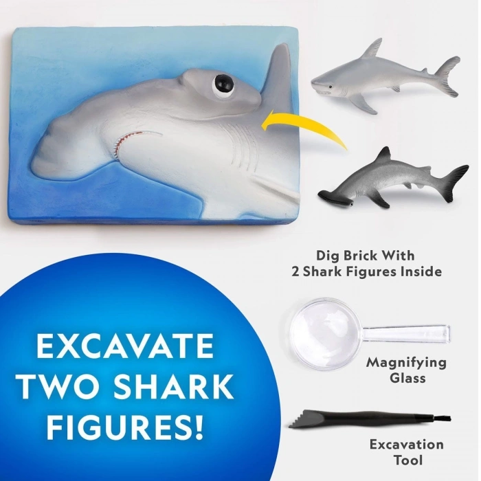 ÇOK SATAN NAT07002 National Geographic Köpek Balığı Bulma Kiti - TRHAMSHDIG +6 yaş