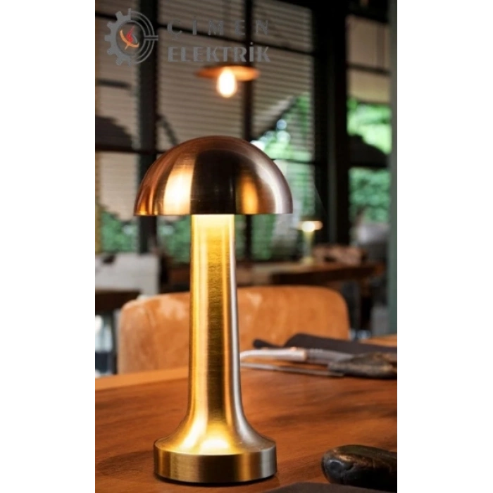 ÇOK SATAN NOAS YL86 1230 Atina Şarjlı Gold Masa Lambası 3 Renk