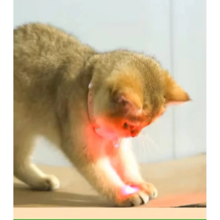 ÇOK SATAN Otomatik Lazer Oyun Tasması