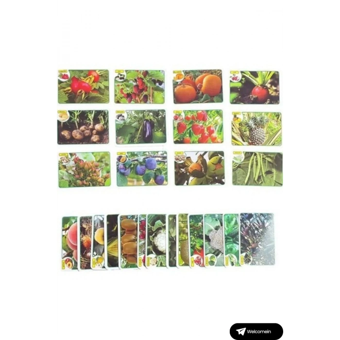 ÇOK SATAN Oyuncak Minik Bebeğimin İlk 50 Sözcük Kartları ve İlk 50 Meyve Sebze Kartları Flash Kart Set 2li