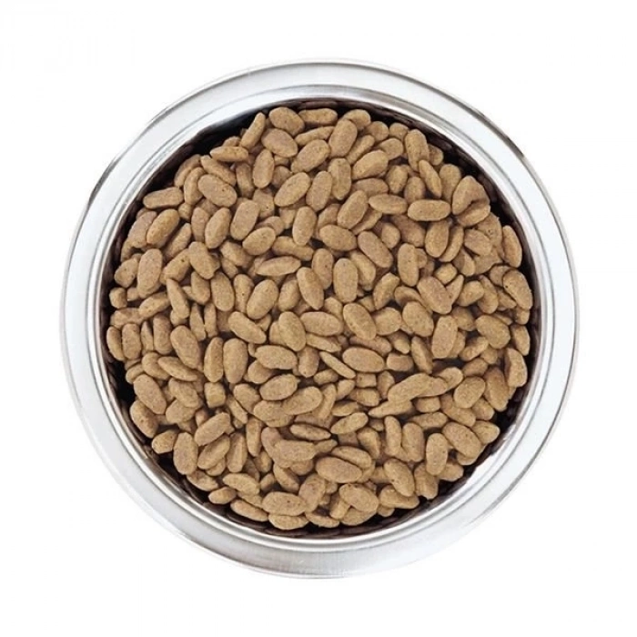 ÇOK SATAN Pro Plan Adult Small Somonlu Yetişkin Köpek Maması 3 Kg