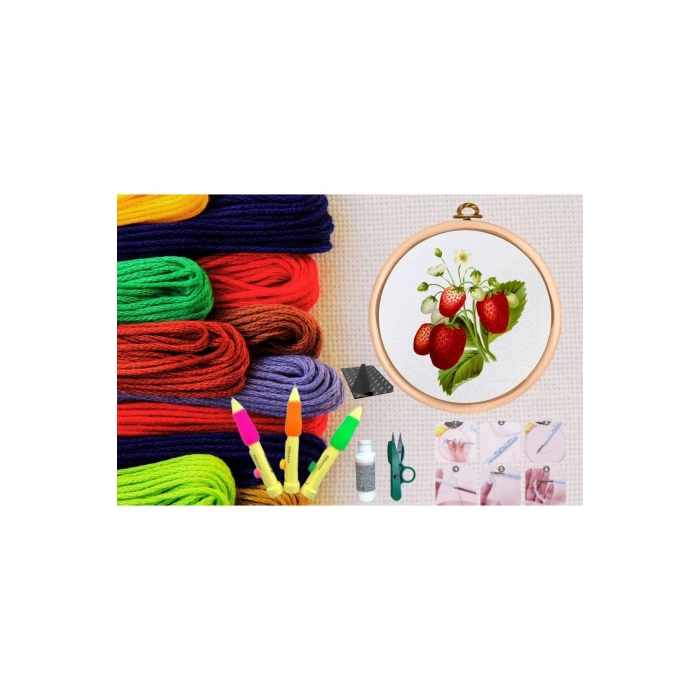 ÇOK SATAN Punch Seti Nakış Seti Kasnaklı Kendin Yap Seti Seri 8