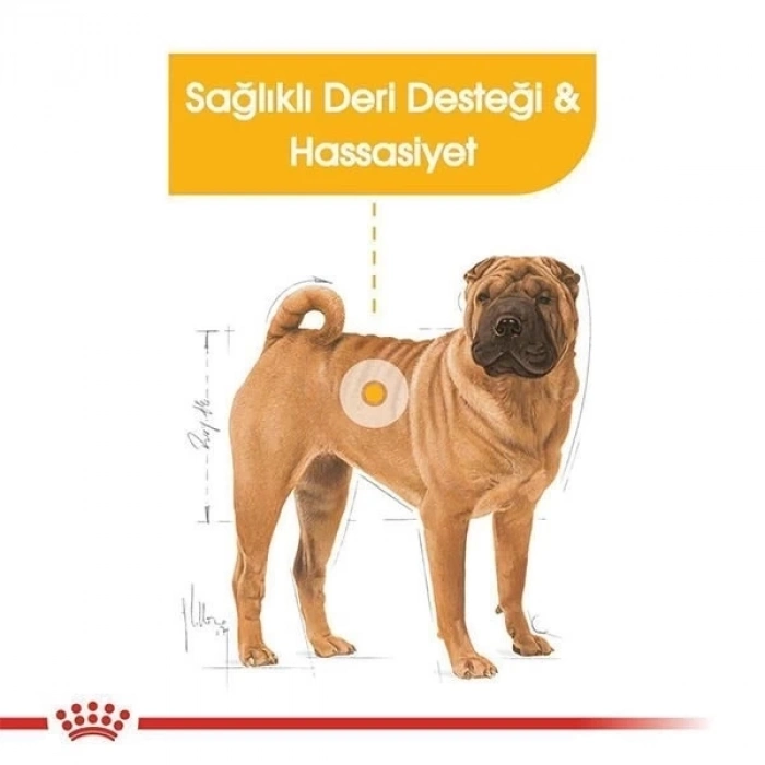 ÇOK SATAN Royal Canin Adult Medium Dermacomfort Yetişkin Köpek Maması 12 Kg