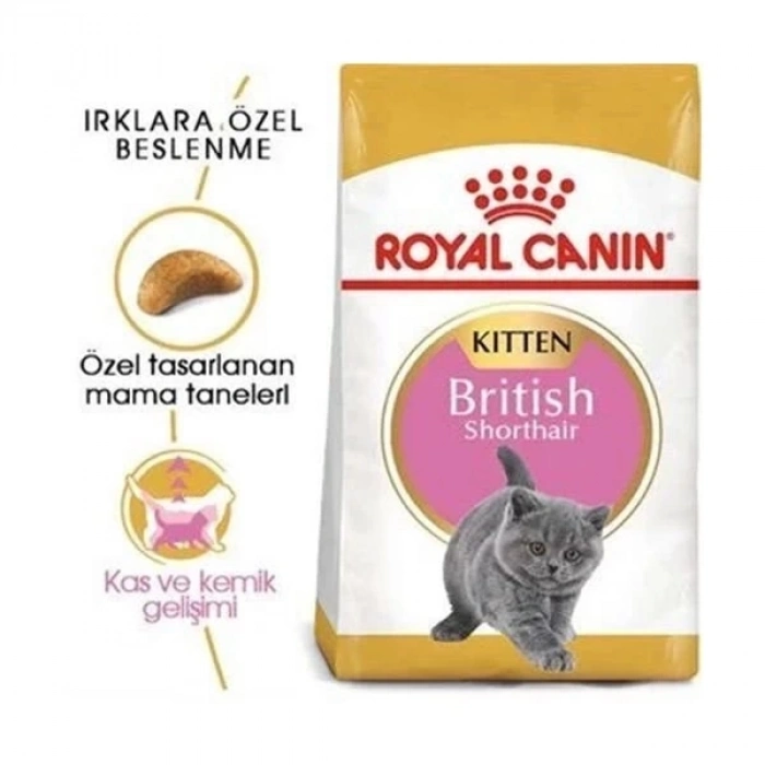 ÇOK SATAN Royal Canin British Shorthair Kitten Yavru Kedi Maması 2 Kg