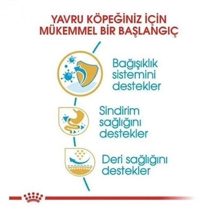 ÇOK SATAN Royal Canin French Bulldog Junior Yavru Köpek Maması 3 Kg