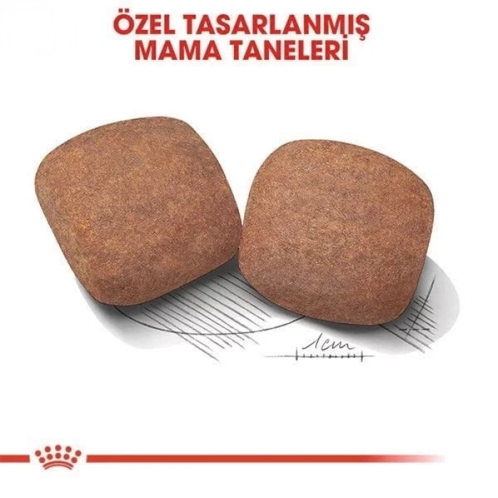 ÇOK SATAN Royal Canin Giant Adult Dev Irk Yetişkin Köpek Maması 15 Kg