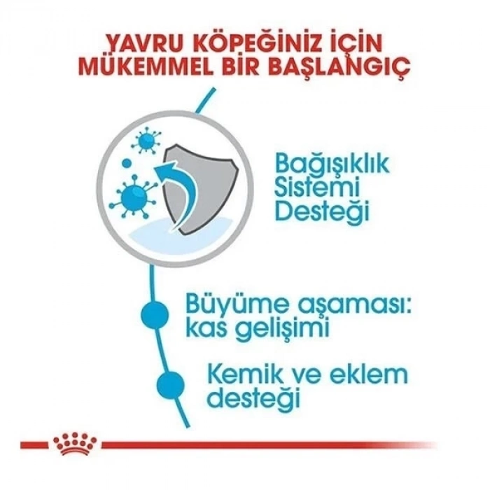 ÇOK SATAN Royal Canin Giant Junior Dev Irk Yavru Köpek Maması 15 Kg