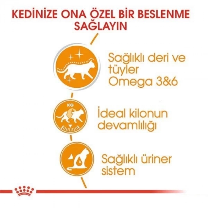 ÇOK SATAN Royal Canin İntense Beauty Jelly Pouch Konserve Kedi Maması 85 Gr