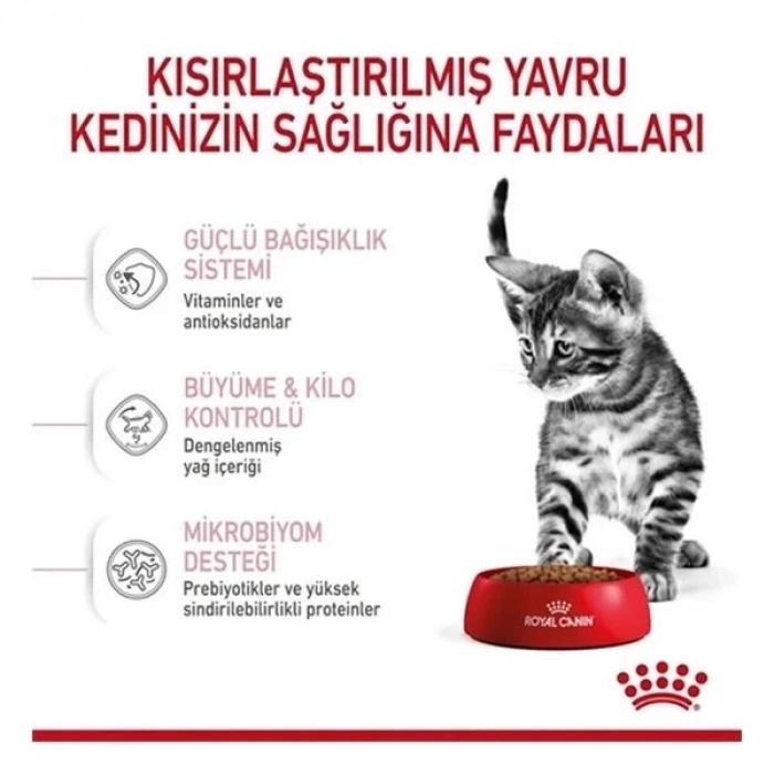ÇOK SATAN Royal Canin Kitten Sterilised Yavru Kısırlaştırılmış Kedi Maması 2 Kg