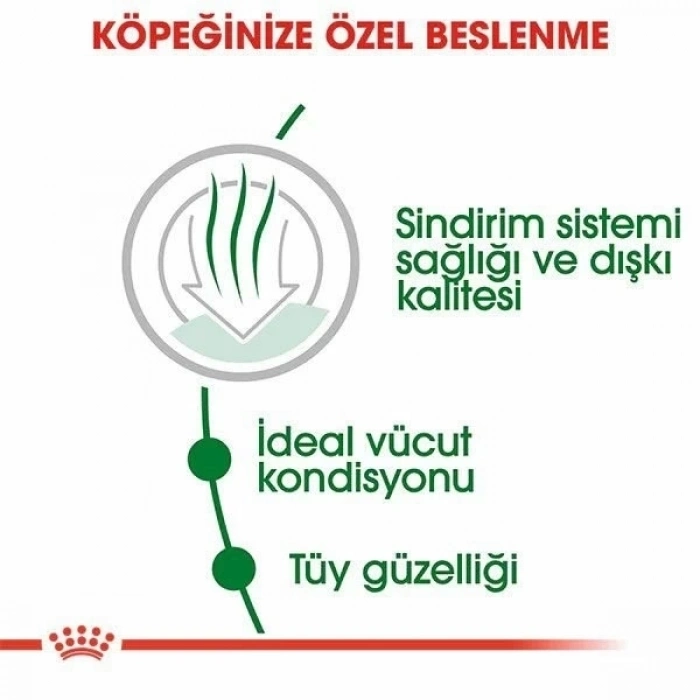 ÇOK SATAN Royal Canin Mini İndoor Adult Yetişkin Köpek Maması 1.5 Kg