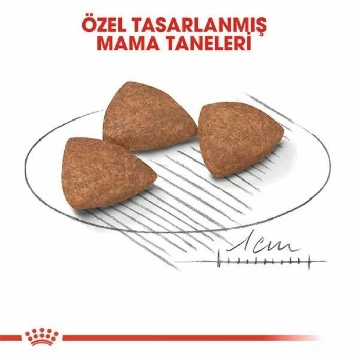 ÇOK SATAN Royal Canin Mini İndoor Adult Yetişkin Köpek Maması 1.5 Kg