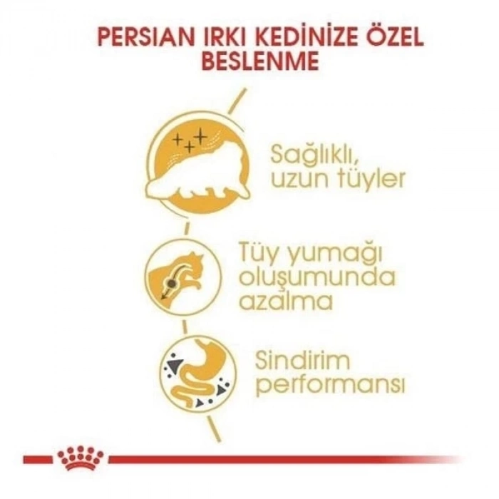 ÇOK SATAN Royal Canin Persian Adult Yetişkin İran Kedisi Maması 400 Gr