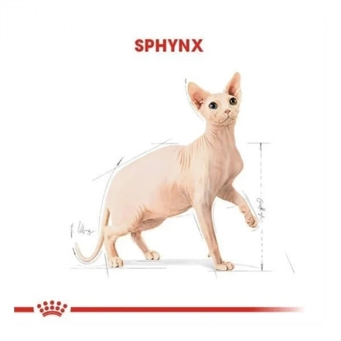 ÇOK SATAN Royal Canin Tüysüz Sphynx Cinsi Yetişkin Kedi Maması 2 Kg