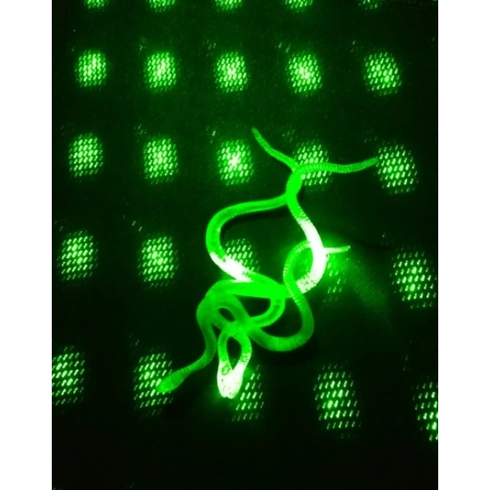 ÇOK SATAN Şaka Yılan ve Kırkayak Karışık 36 Adet