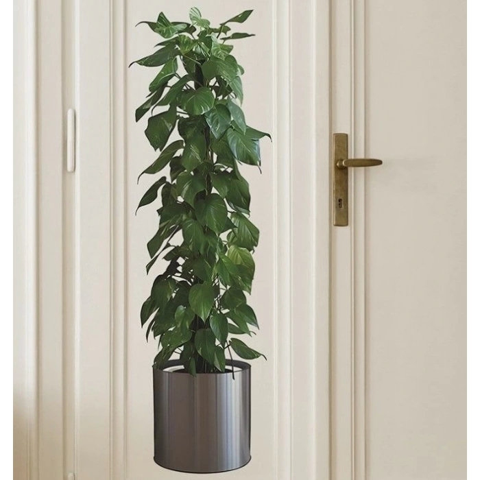 ÇOK SATAN Saksılı Bitki Tasarımlı Yapışkanlı Sticker Resim 90*30 cm MC-665