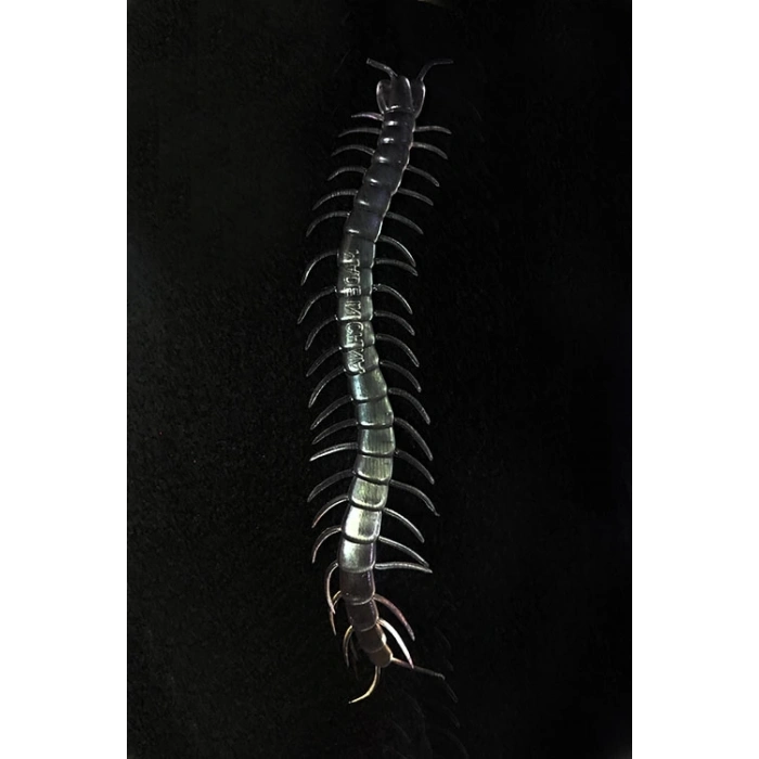 ÇOK SATAN Şeffaf Renk Karanlıkta Parlayan Fosforlu Kırkayak 13 cm 1 Adet