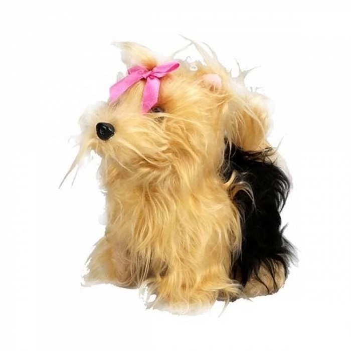 ÇOK SATAN Sunman Sevimli Köpek Terrier