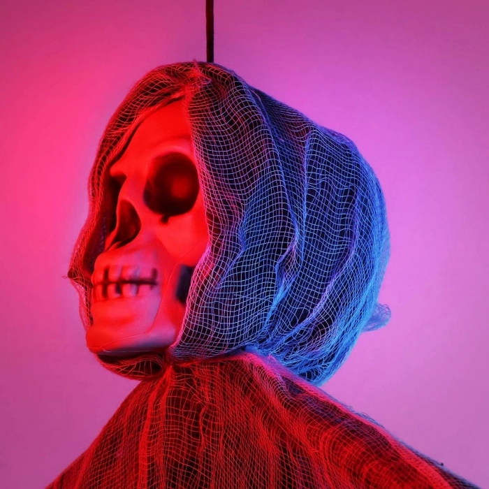 ÇOK SATAN Ürpertici Kuru Kafa Korku Hayalet Saçaklı Dekor 90x50 cm