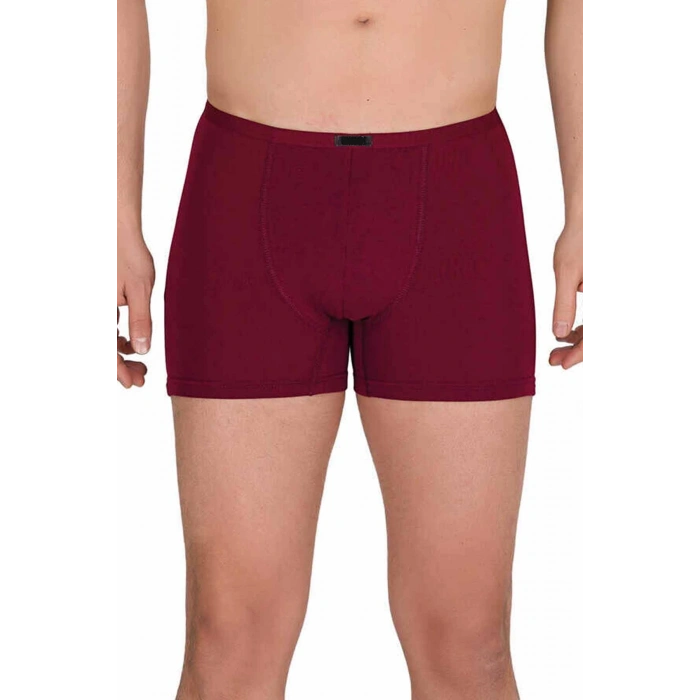 Erkek Modal Boxer Short Bordo 4488B