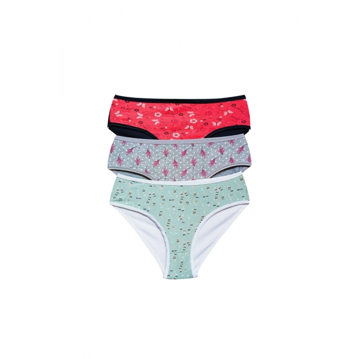 Pamuklu Geniş Kenarlı Likralı Desenli Bato Kadın Külot 3lü Paket Set1