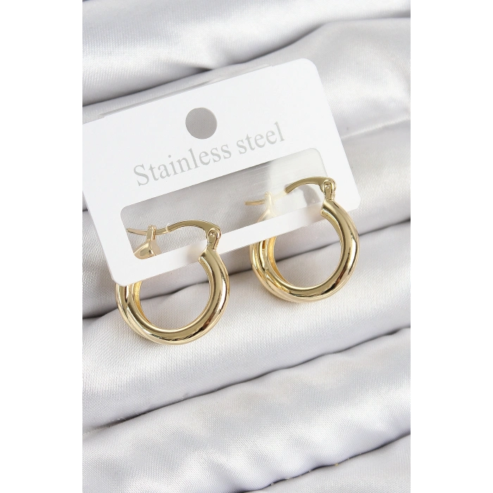 Pirinç Halka Model Gold Renk Kadın Küpe