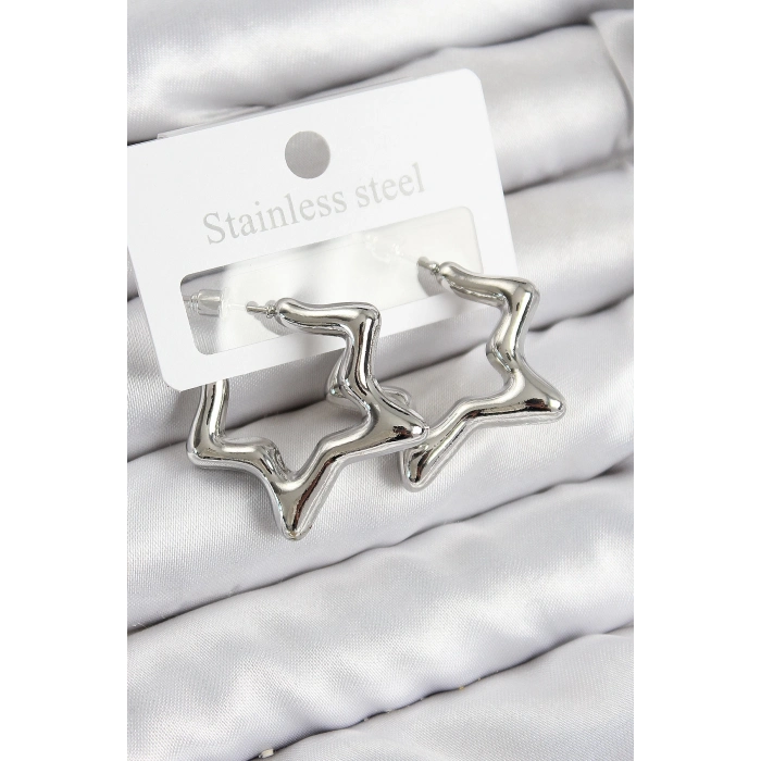 Pirinç Yıldız Model Gümüş Renk Kadın Küpe