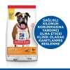ÇOK SATAN Hills Light Orta Irk Tavuklu Diyet Köpek Maması 14 Kg