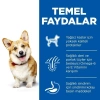 ÇOK SATAN Hills Small & Mini Adult Tavuklu Köpek Maması 6 Kg