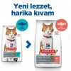 ÇOK SATAN Hills Somonlu Kısırlaştırılmış Yetişkin Kedi Maması 8+2 Kg Hediyeli