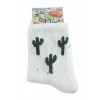 ÇOK SATAN Kaktüs Kolej Çorap 8*28