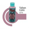 ÇOK SATAN Rich Multi Surface 2276 Yaban Gülü Akrilik Boya 120 cc