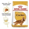 ÇOK SATAN Royal Canin Cocker Adult Yetişkin Köpek Maması 3 Kg