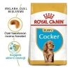ÇOK SATAN Royal Canin Cocker Junior Yavru Köpek Maması 3 Kg