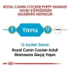 ÇOK SATAN Royal Canin Cocker Junior Yavru Köpek Maması 3 Kg