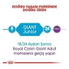 ÇOK SATAN Royal Canin Giant Junior Dev Irk Yavru Köpek Maması 15 Kg
