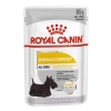 ÇOK SATAN Royal Canin Mini Dermacomfort Pouch Konserve Köpek Maması 85 Gr